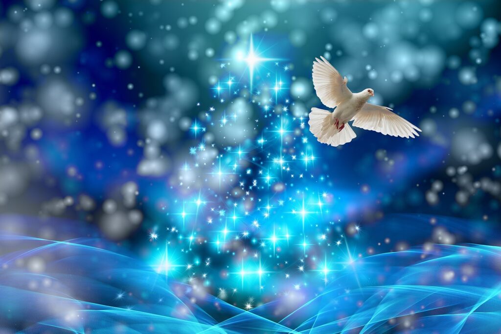 christmas, dove, lights-4433384.jpg